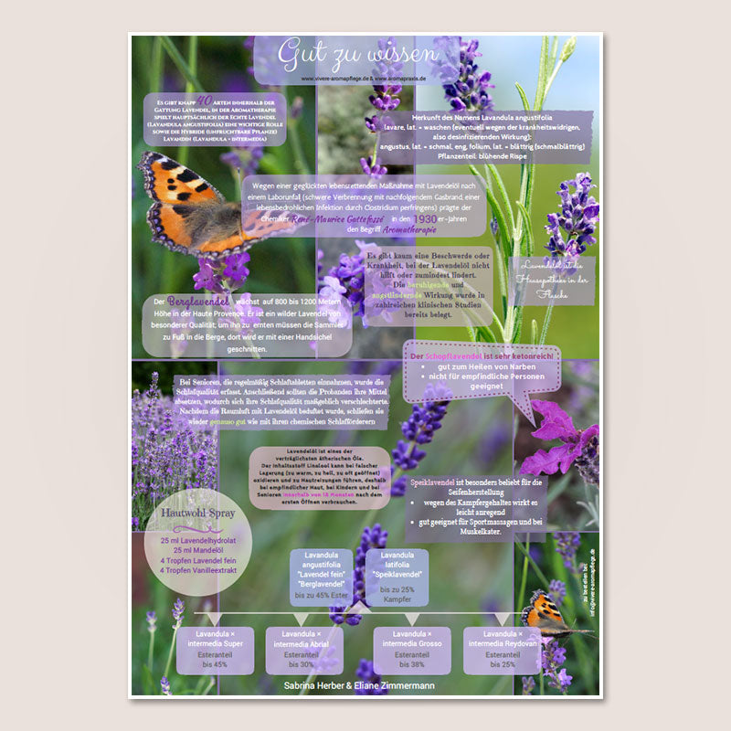 Poster A2 “Lavendel”
