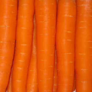 Karottenöl;Karottenöl